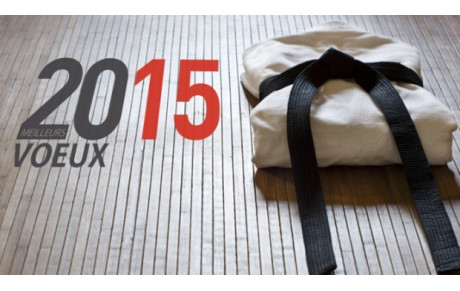 Meilleurs vœux 2015